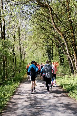 Vorbereitung im Wald