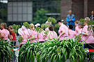 Reebok Womens Run Kln 2011